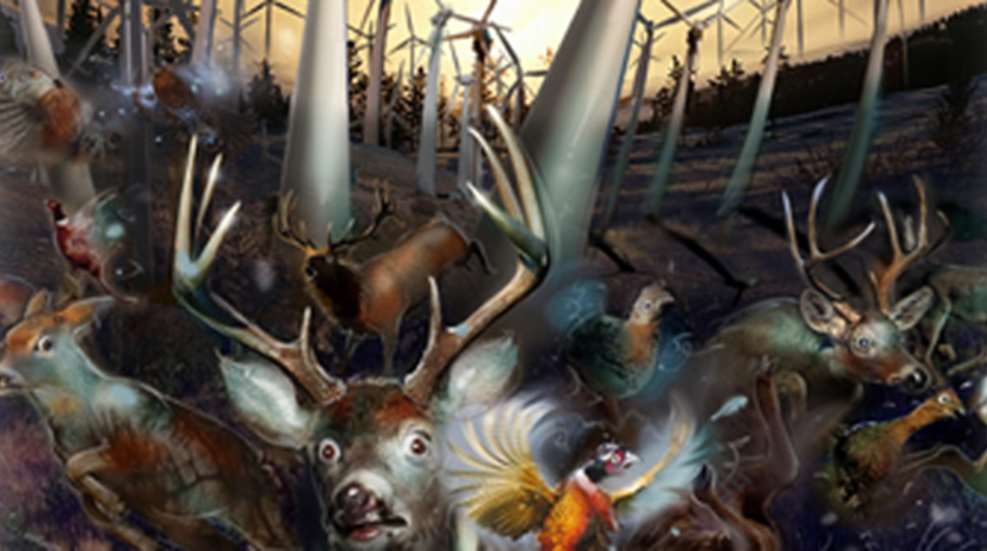 2010714113017-windmill_f.jpg