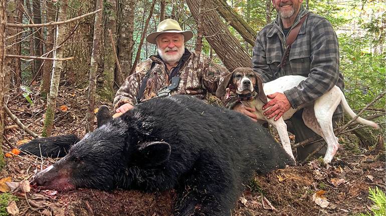 Black Bear Hunt: A Second Chance Down East | An Official Journal Of The NRA