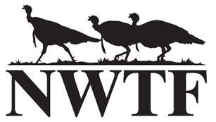 mainnwtf-logo.jpg