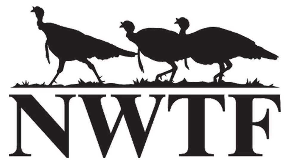 mainnwtf-logo.jpg