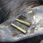 Behind the Bullet: .450/400 3” Nitro Express | An Official Journal Of The NRA