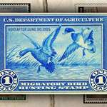 duck_stamp.jpg