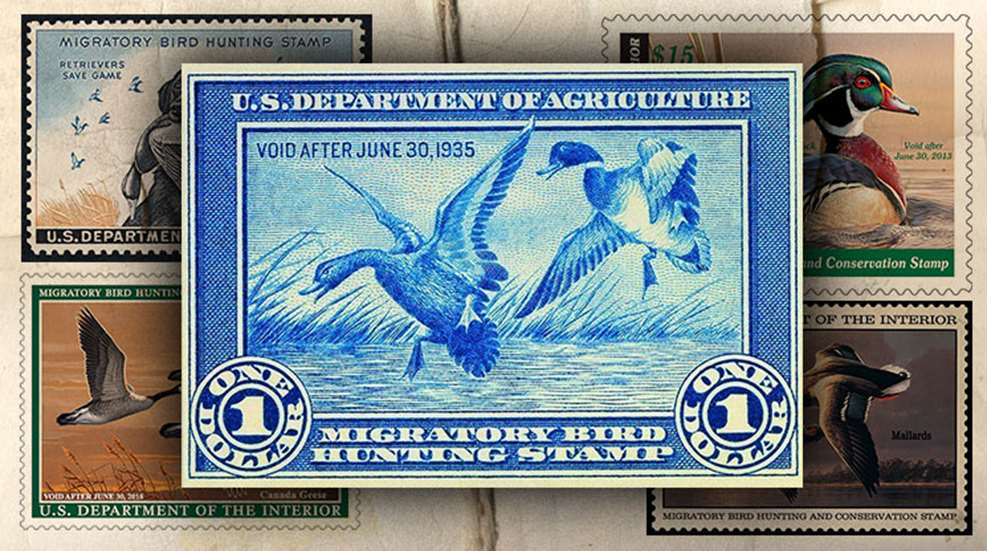 duck_stamp.jpg