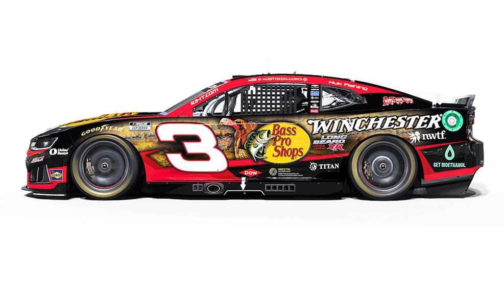 Ledewinchester And