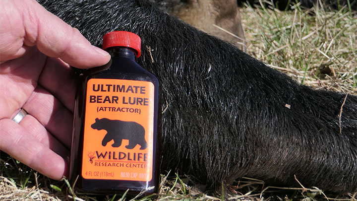 Ultimate Bear Lure from Wildlife Research Center