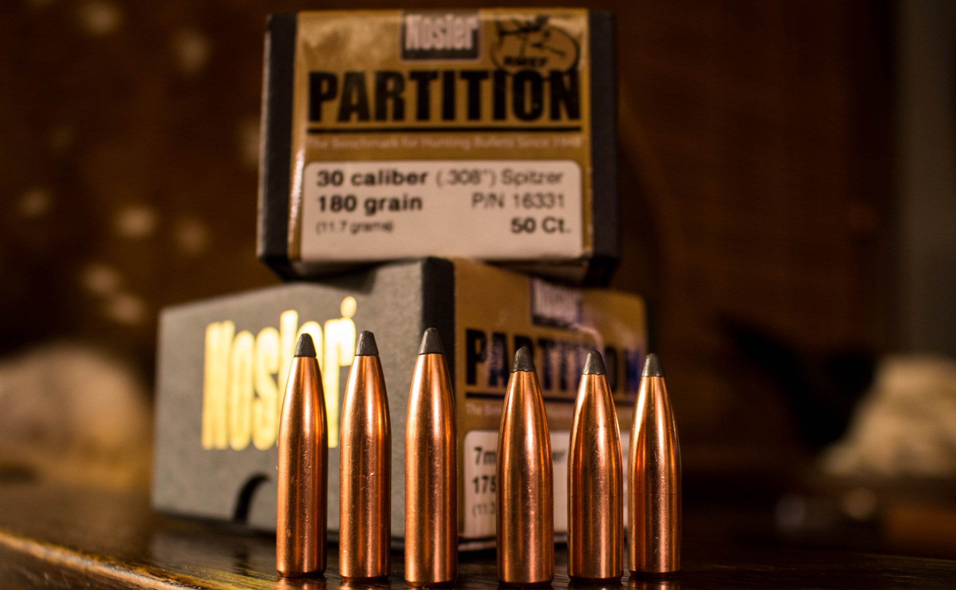Nosler Partitons