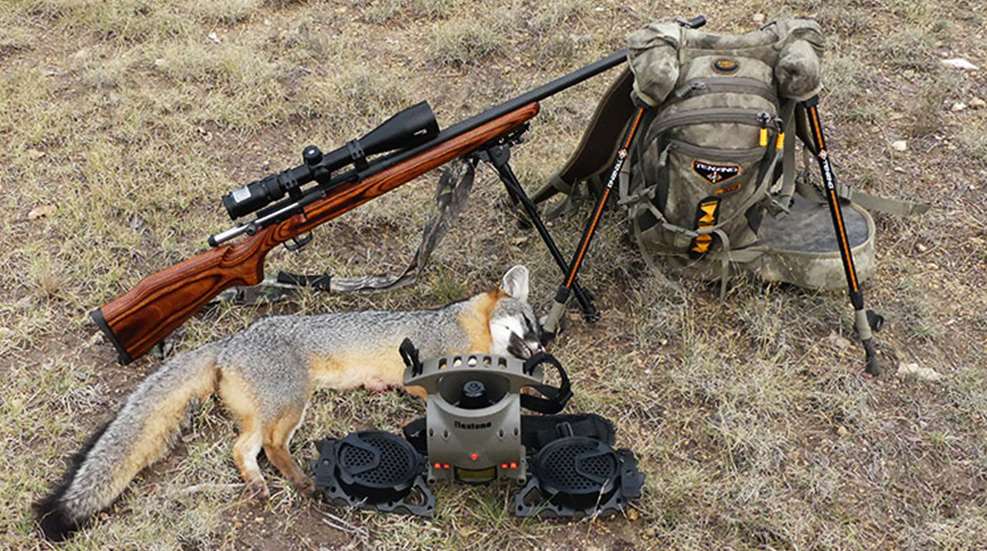 packingforpredators_lead.jpg