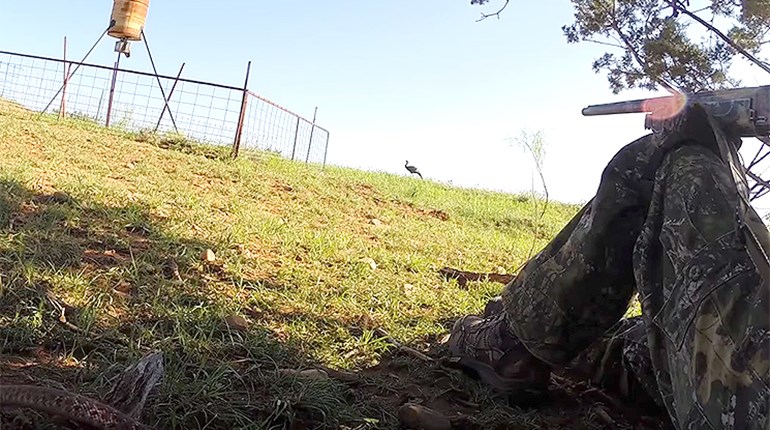 Watch: Snake Sneaks Up on Texas Turkey Hunter | An Official Journal Of The NRA