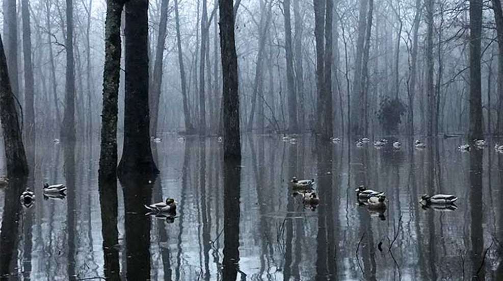ducks-low-vis-setups_lead.jpg