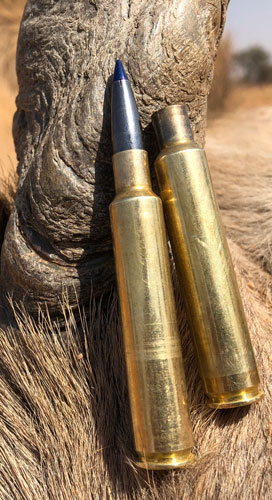 A cartridge and a shell lie at the base of an antler.