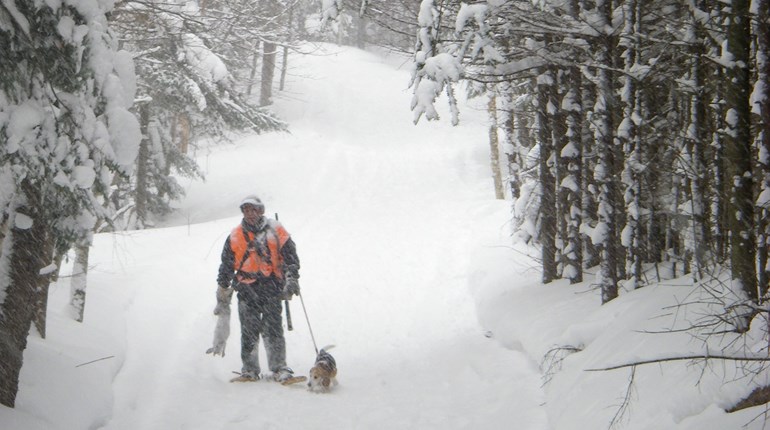 Know How: Walking-Up Winter Rabbits | An Official Journal Of The NRA