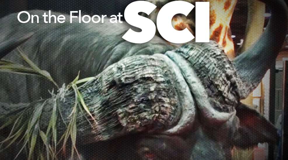 sci_ah2015_fs.jpg (10)