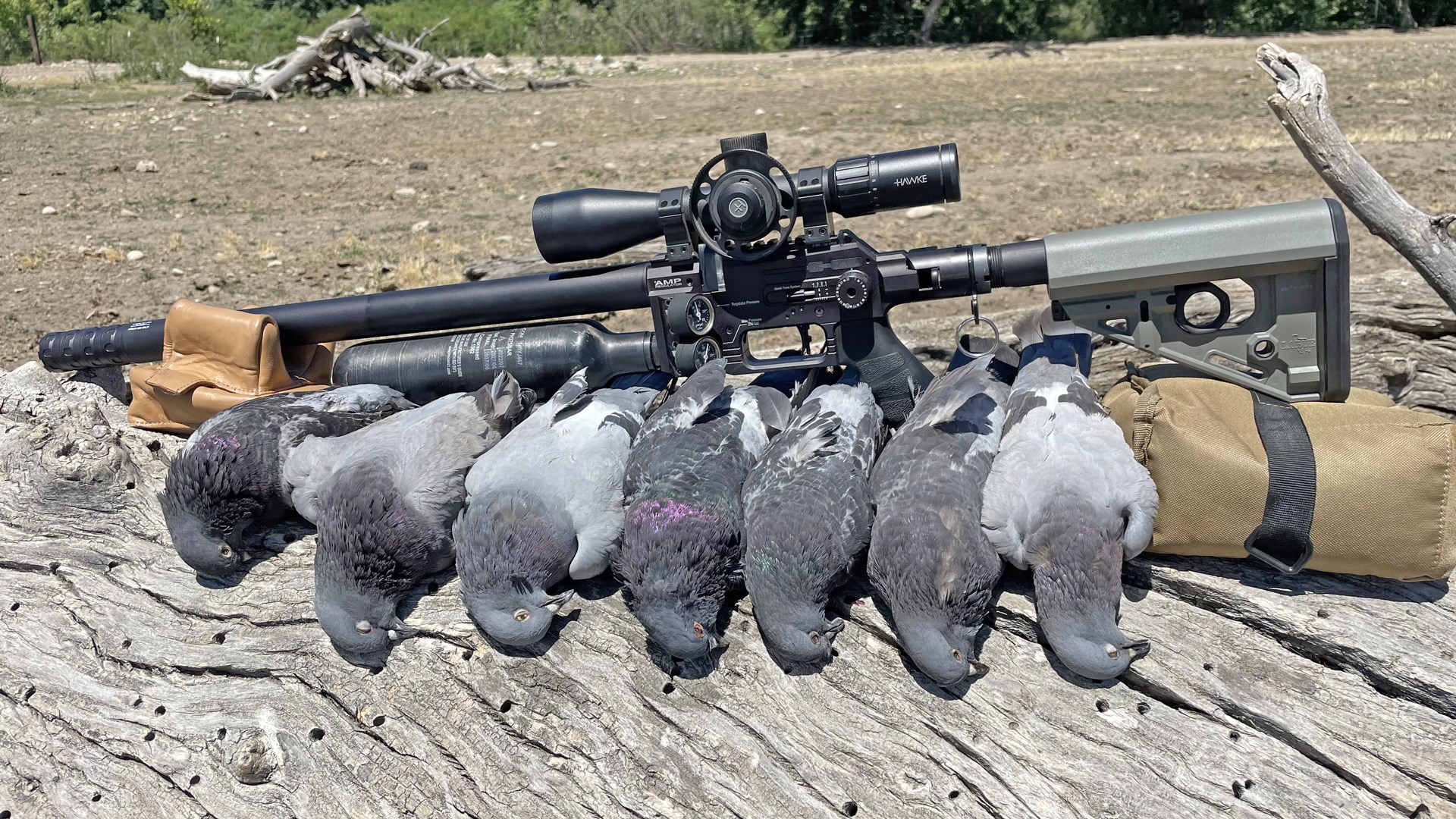 Airgun with pigeon