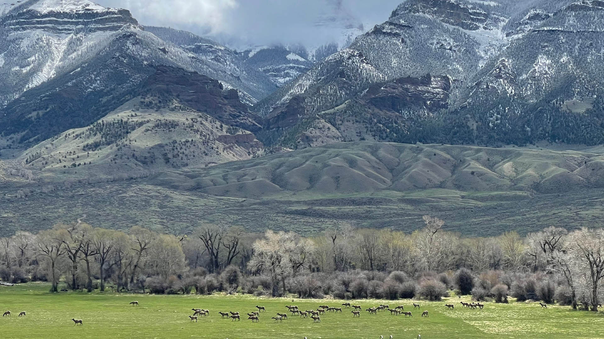 Ledeprivate Landowner 2