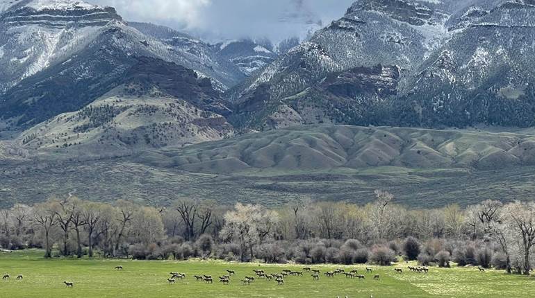 Report: Private Landowner Investments in Conservation Hits Staggering Number | An Official Journal Of The NRA