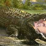 gatorland_f.jpg