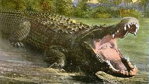 gatorland_f.jpg
