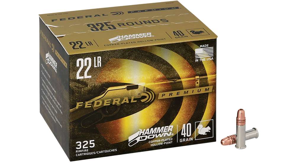 22HAM 22LR Hammerdowncphp 325 Rounds Combo R3