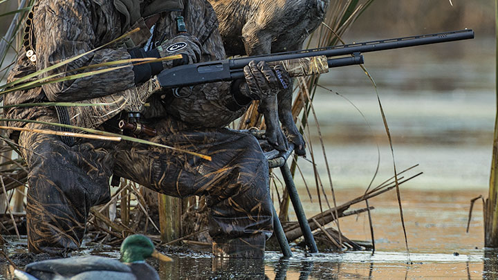 Hunter Wading in Water holding Pump-Action Shotgun