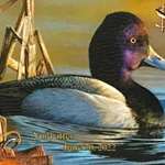 MAIN2021+Duck+Stamp+Cropped (1)