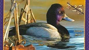 MAIN2021+Duck+Stamp+Cropped (1)