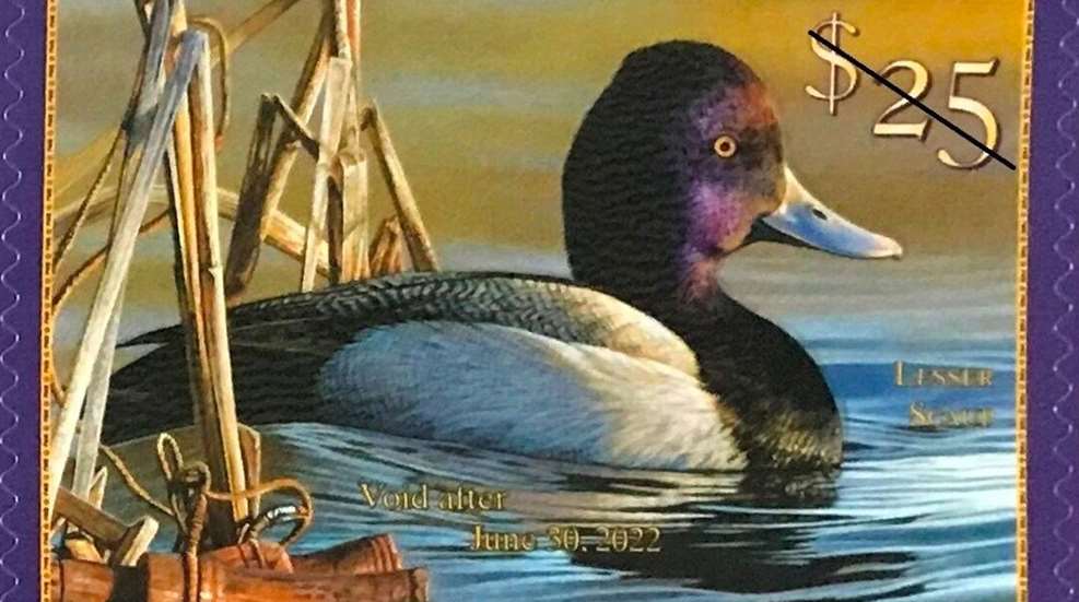 MAIN2021+Duck+Stamp+Cropped (1)