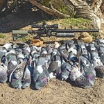 Hunting with Air: Getting Started | An Official Journal Of The NRA