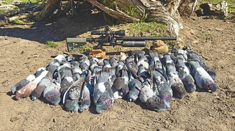 Hunting with Air: Getting Started | An Official Journal Of The NRA