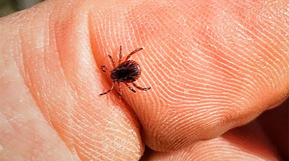 tick_threat_northeast_higher_f.jpg