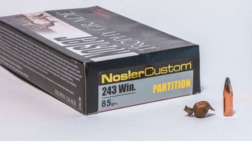 nosler_partition_bb_f.jpg