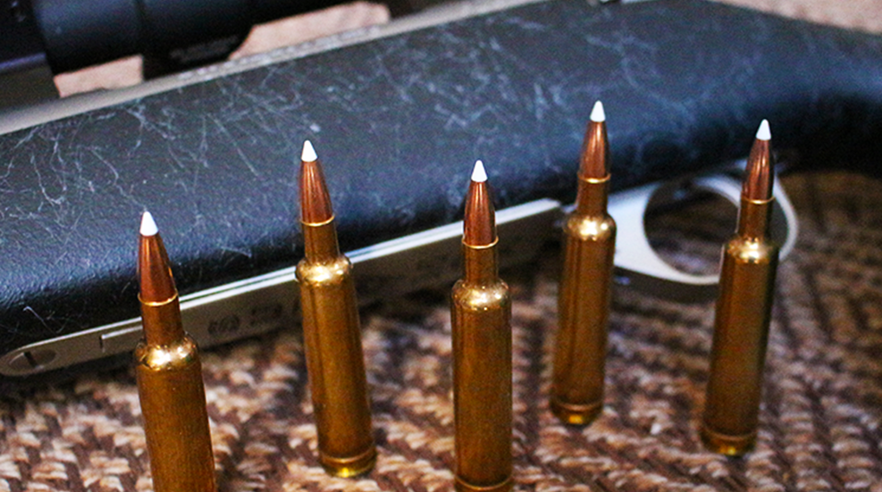 257weatherbymagnum_lead.png