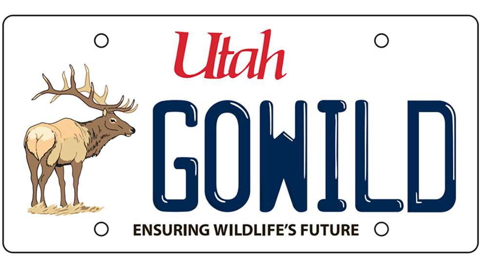 LEDE Utah DNR License Plate