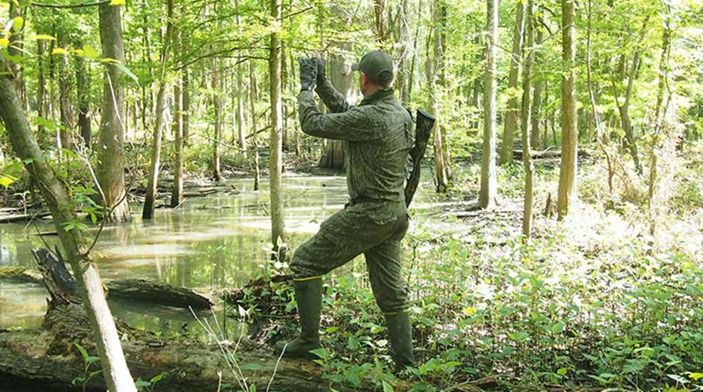 swampturkeys_lead.jpg