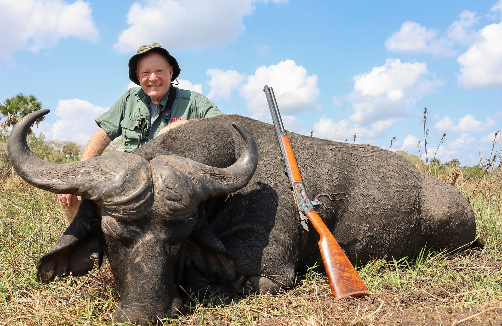 cape buffalo