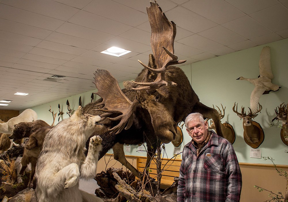 Moose and wolf mount at taxidermy museum.