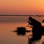 Fit For The Flyway Lead