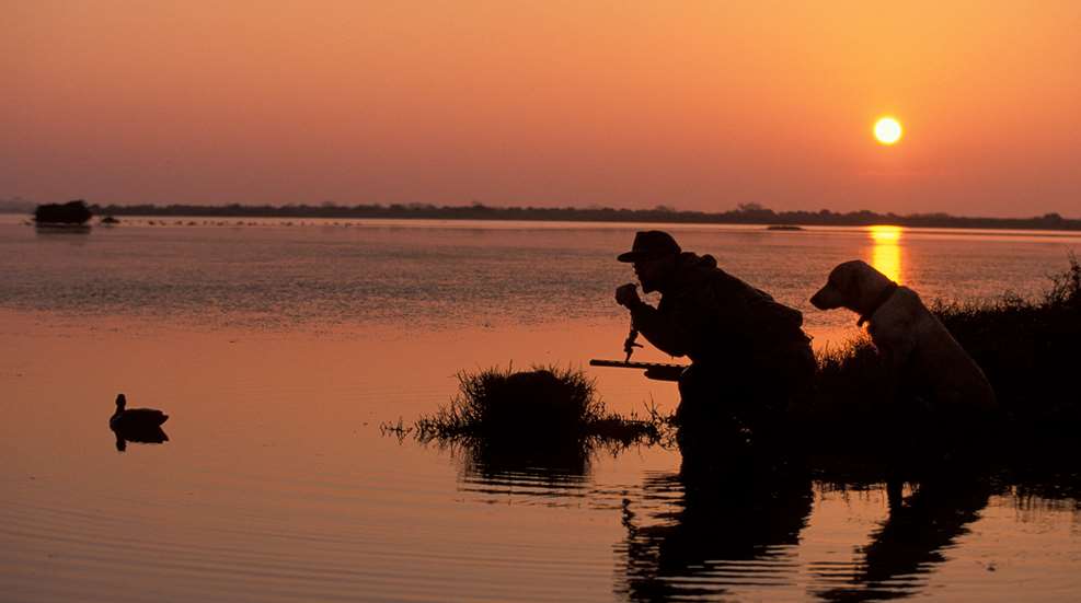 Fit For The Flyway Lead