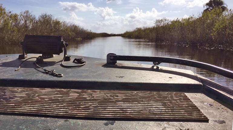 Mid-Winter Winner: A Duck Hunt in the ‘Glades | An Official Journal Of The NRA