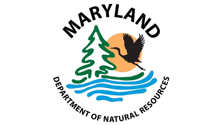 Safe Gun Storage After Hunting Season | An Official Journal Of The NRA