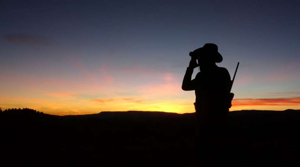 photo-1.jpg (6)