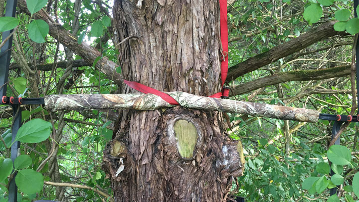 Tree growing into stand