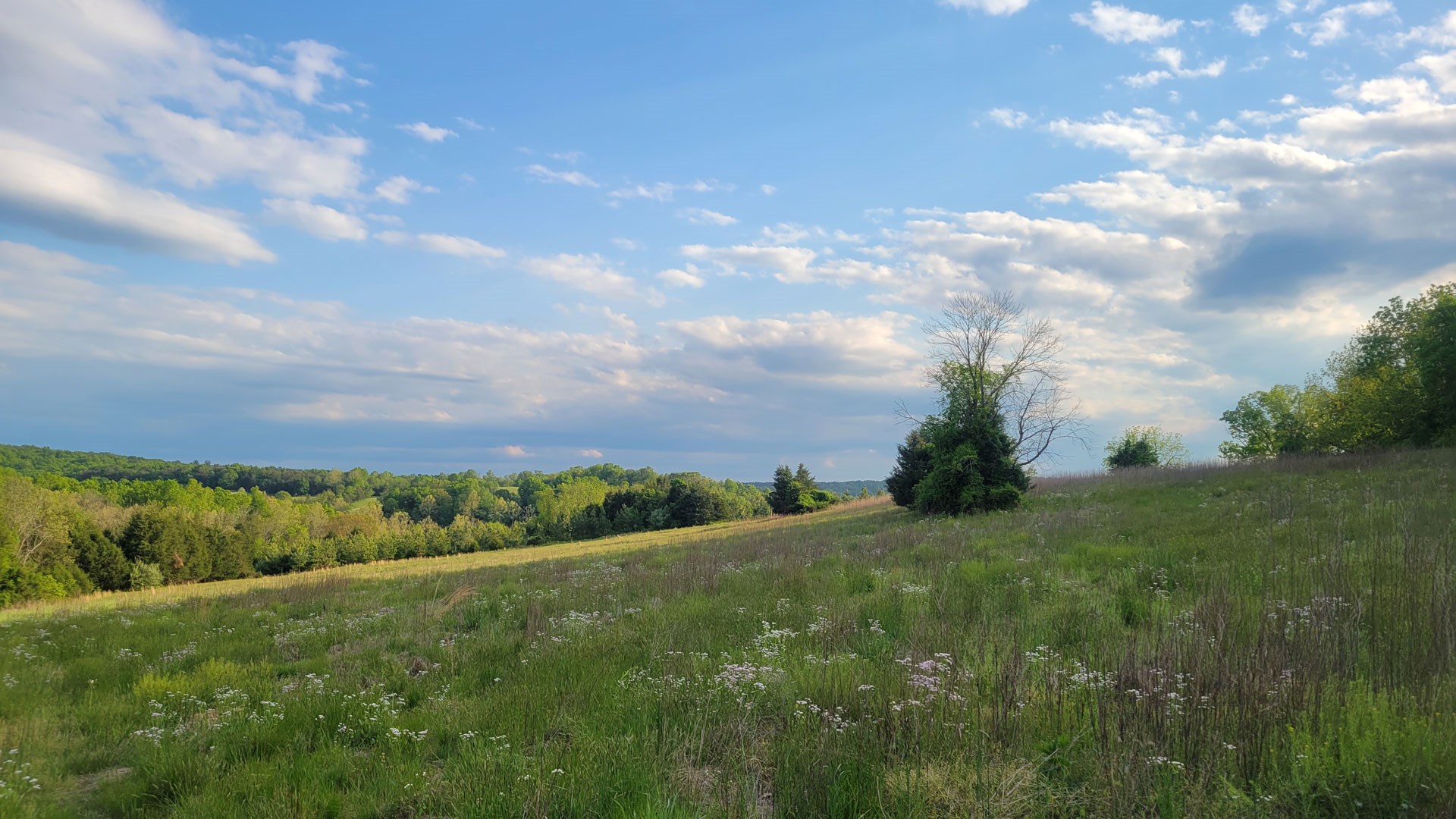 View from the blind