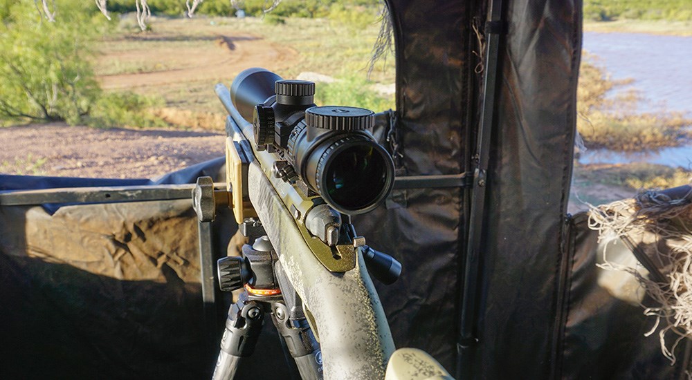 Rifle on tripod in hunting blind aimed at feral hog.