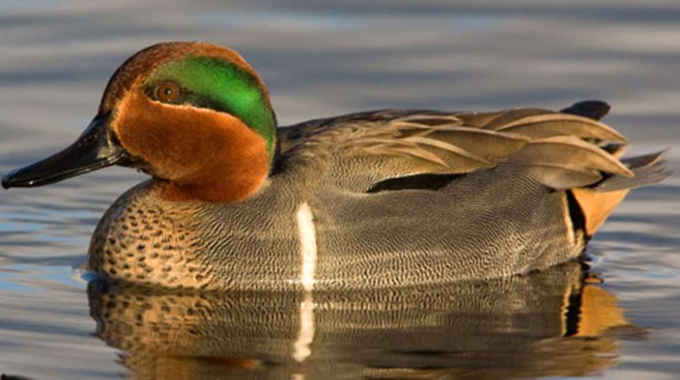 2012815111542-southbound_teal_h.jpg