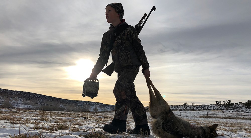 Youth hunter dragging coyote on the ground.