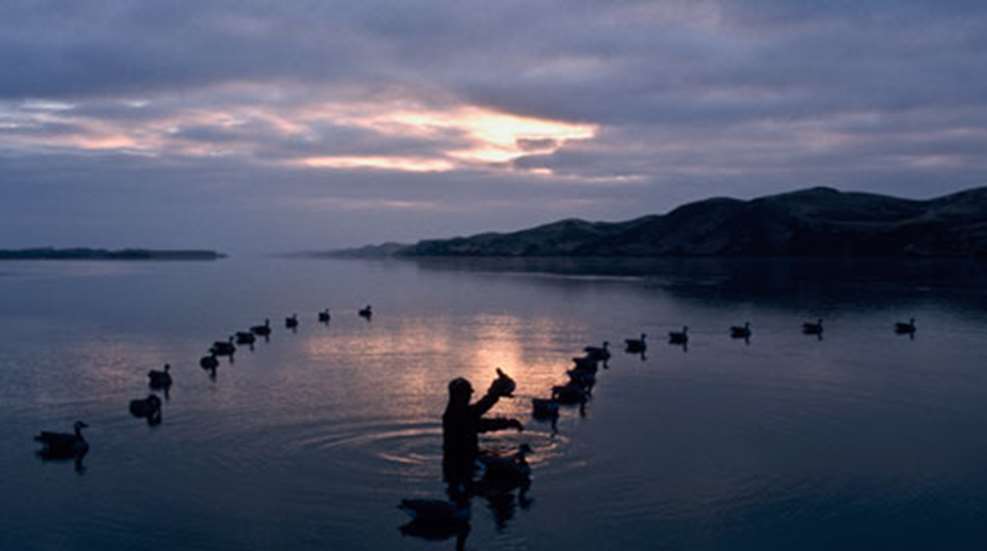 2010112210480-waterfowling_rivers_f.jpg