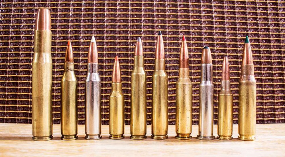 Ten low-recoil hunting cartridges lined up on table.