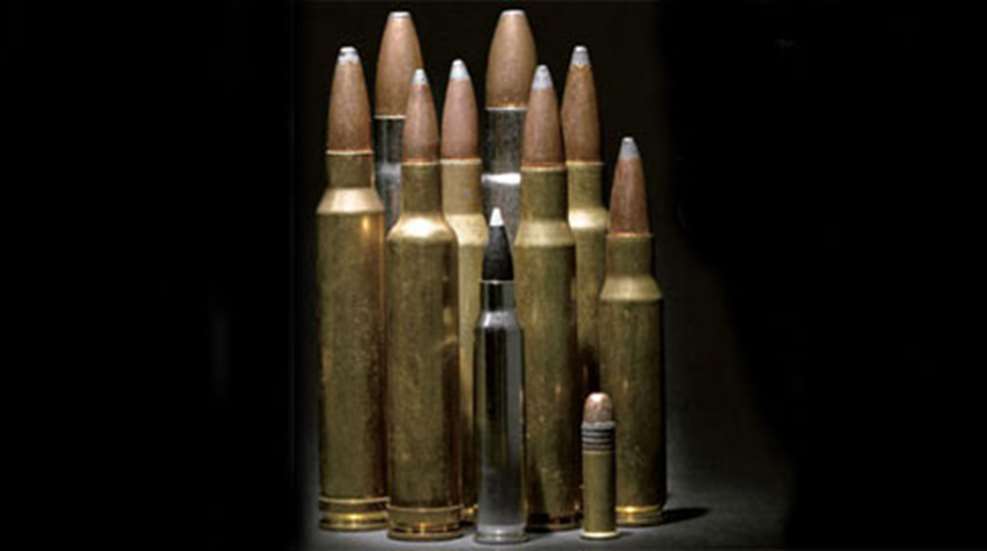 2009529-10cartridges_fs.jpg