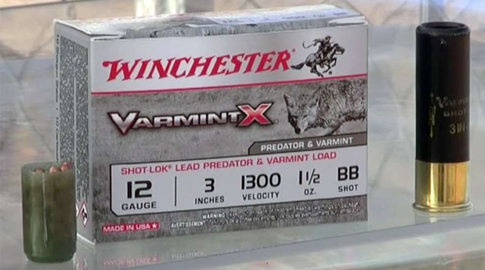 varmint_x_shotshell_fl_inset.jpg