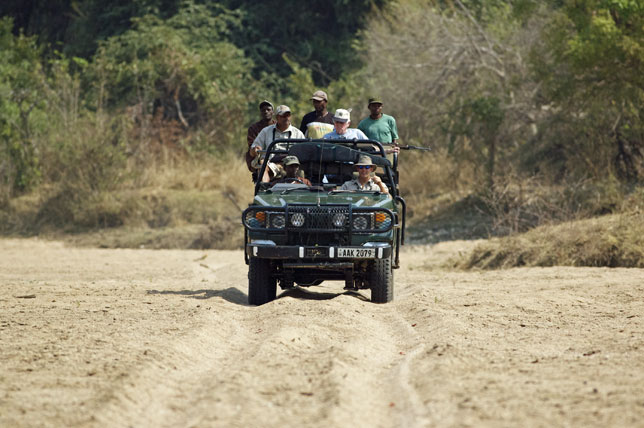 Buffalo Search